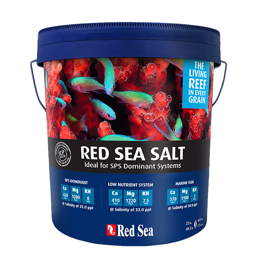 red-sea-salt-image-4-1